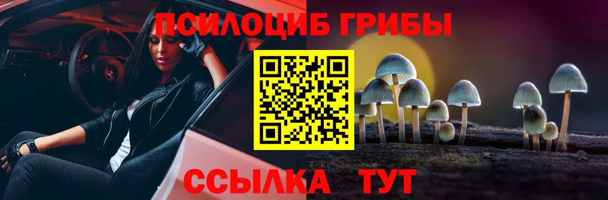 Галлюциногенные грибы Magic Shrooms Сатка